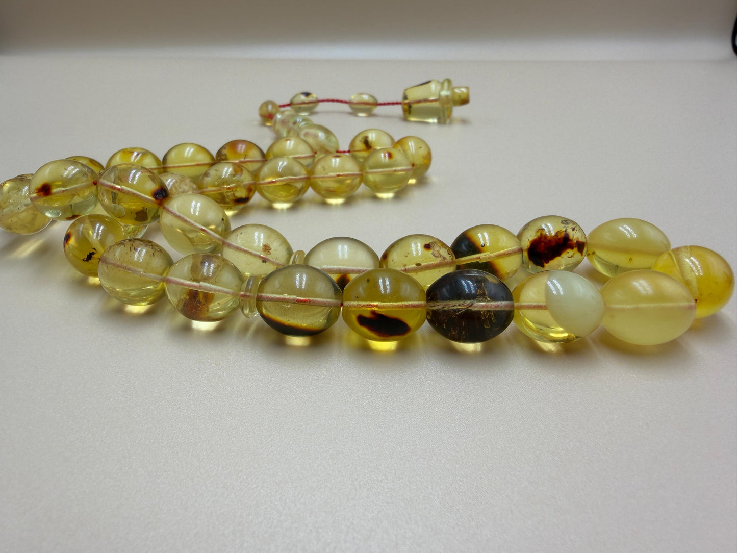 مسباح كهرمان حشري كاريبي، بخراطة مميزة، قصة بيض حمام.Caribbean Insect Amber Misbah