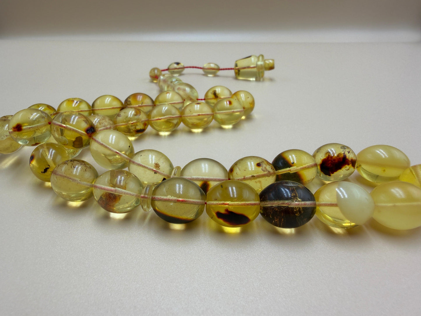 مسباح كهرمان حشري كاريبي، بخراطة مميزة، قصة بيض حمام.Caribbean Insect Amber Misbah