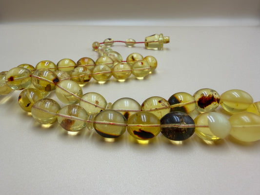 مسباح كهرمان حشري كاريبي، بخراطة مميزة، قصة بيض حمام.Caribbean Insect Amber Misbah